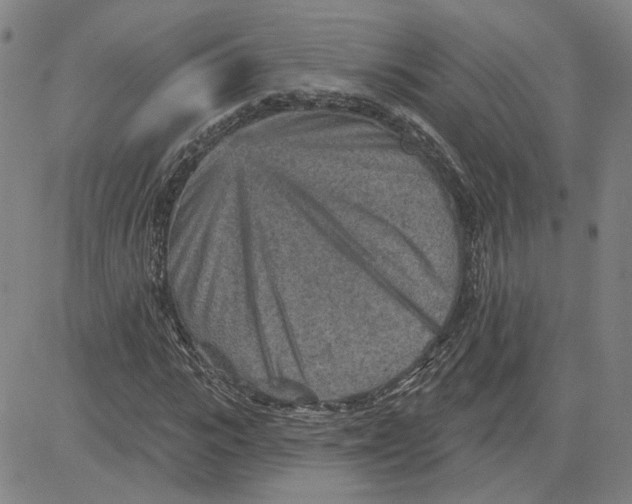 X0000080720919200701051030