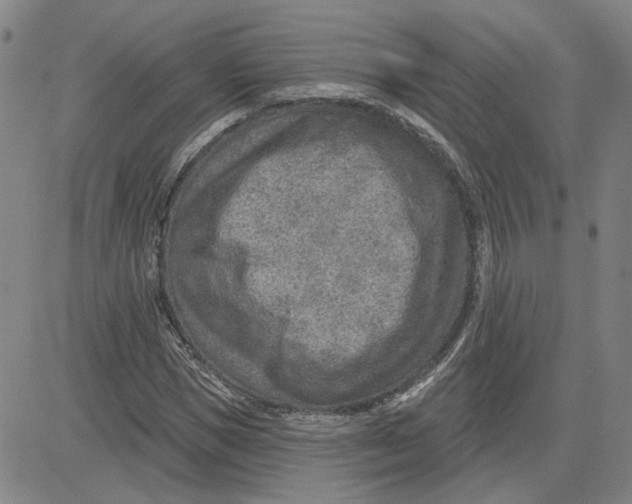 X0000080720921200701051030