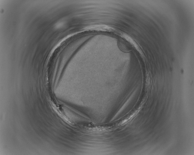 X0000080720923200701051030