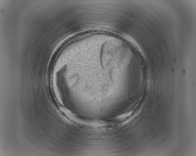 X0000080720924200701051030