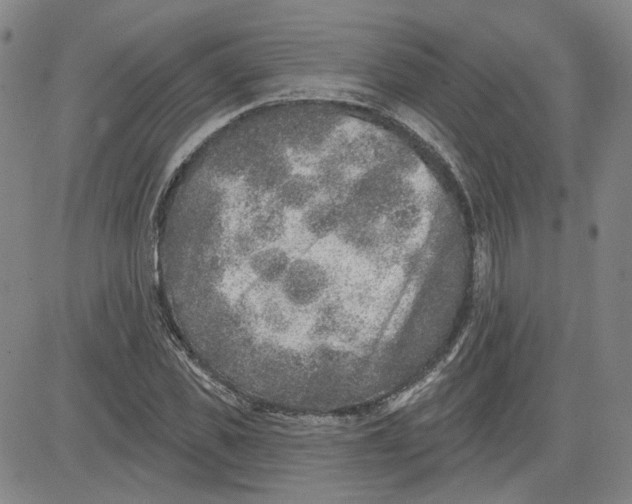 X0000080720925200701051030