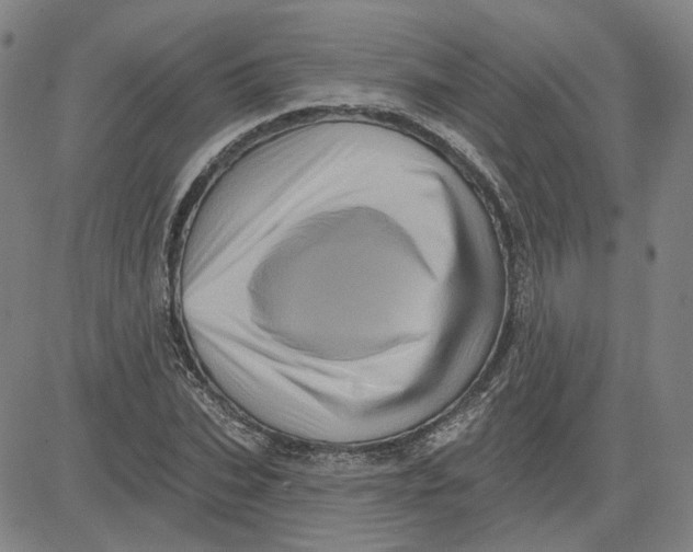 X0000080720927200701051030