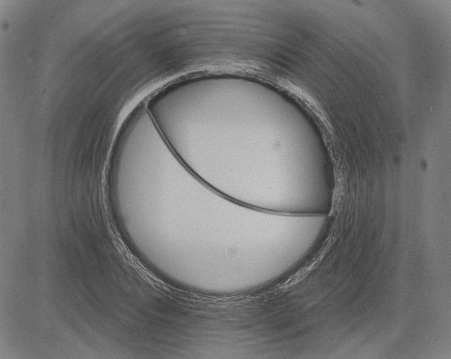 X0000080720928200701051030