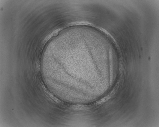 X0000080720929200701051030