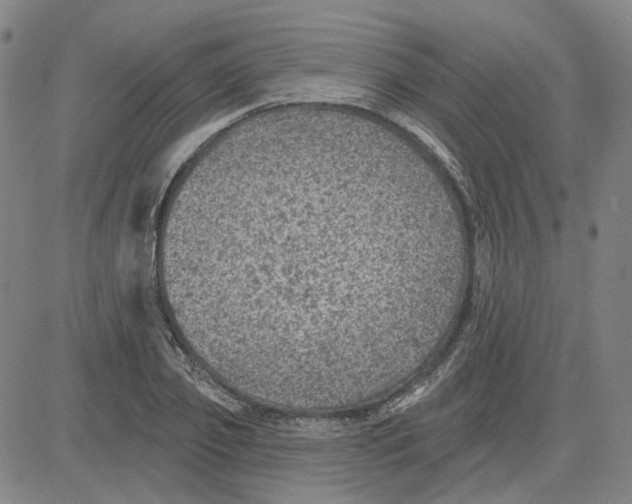 X0000080720933200701051030