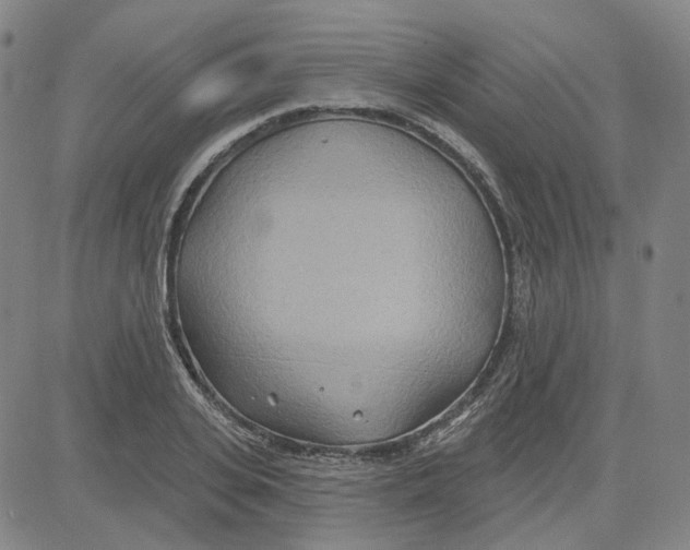 X0000080720935200701051031