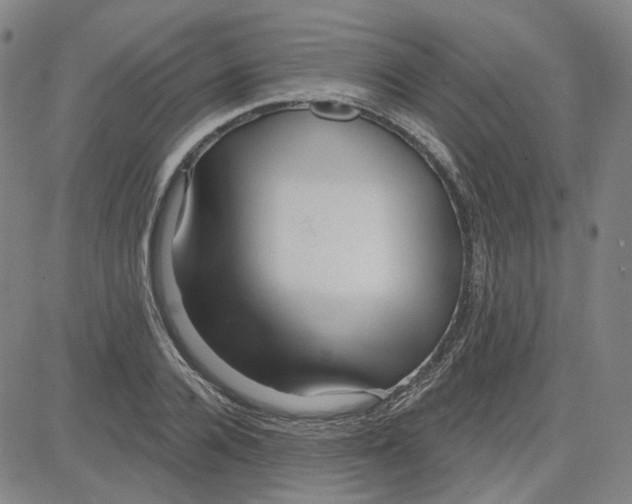 X0000080720936200701051031