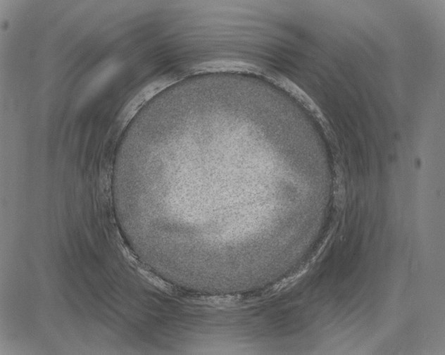 X0000080720937200701051031