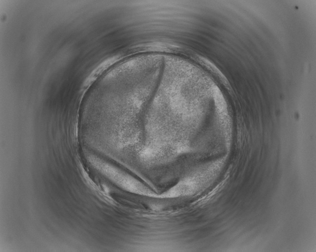 X0000080720938200701051031