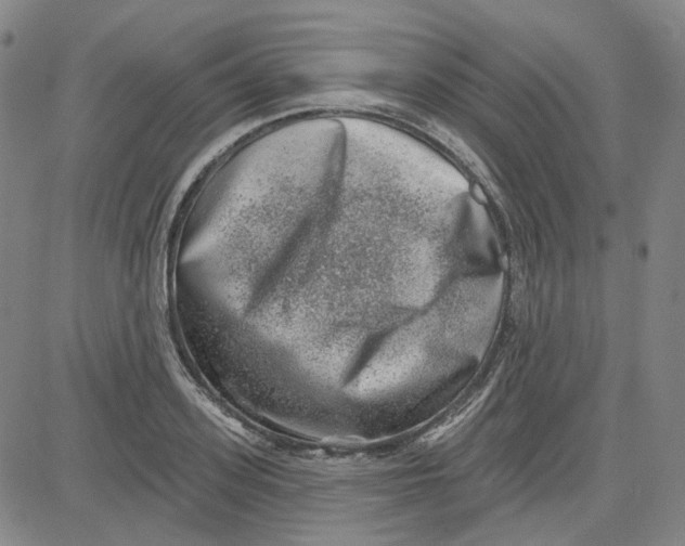 X0000080720939200701051031