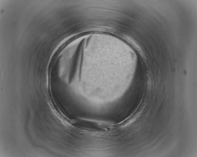 X0000080720940200701051031