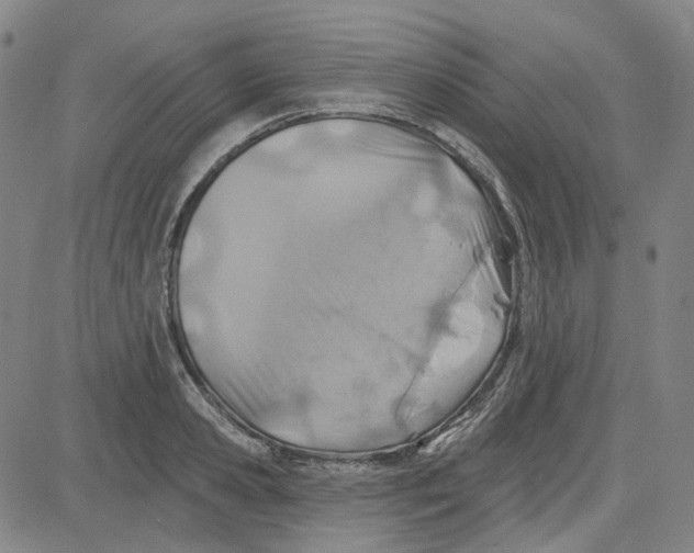 X0000080720941200701051031