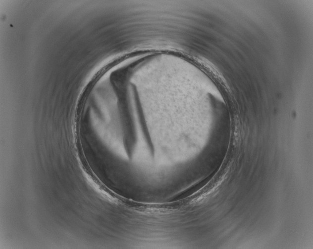 X0000080720942200701051031