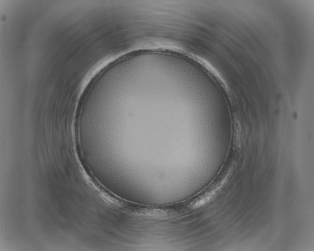 X0000080720943200701051031