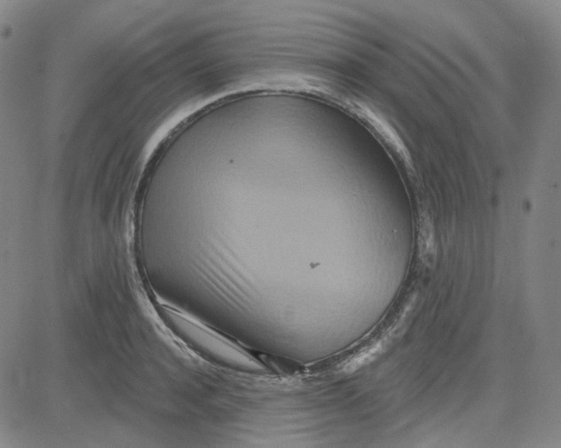 X0000080720944200701051031