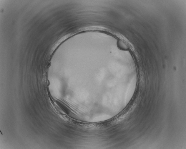 X0000080720945200701051031