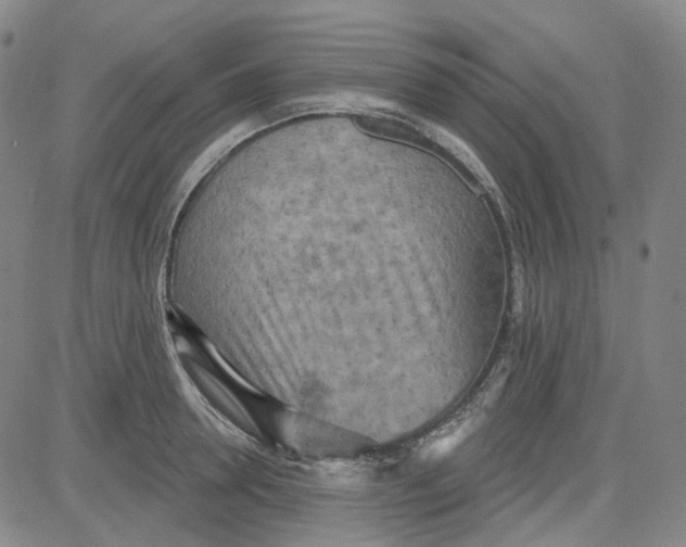 X0000080720946200701051031