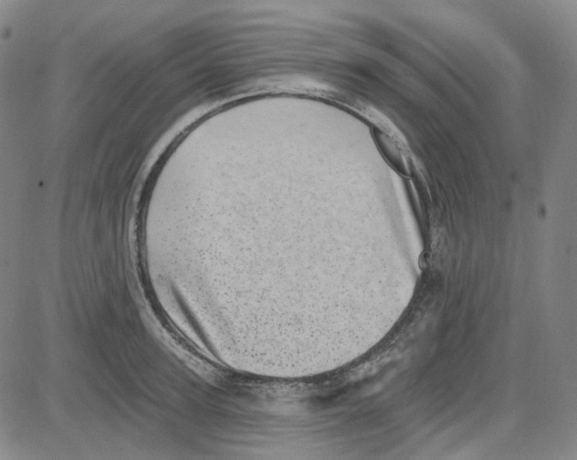 X0000080720947200701051031