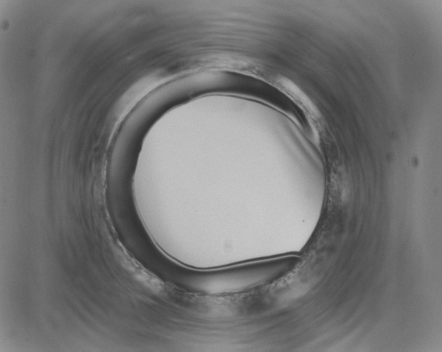 X0000080720948200701051031