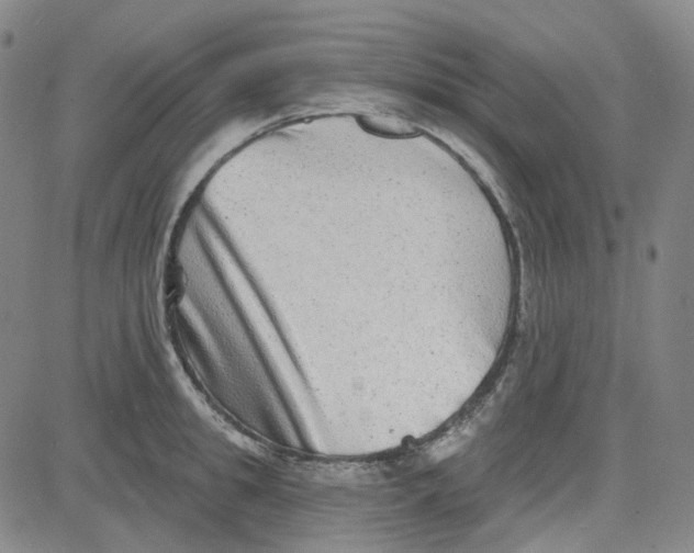 X0000080720949200701051031