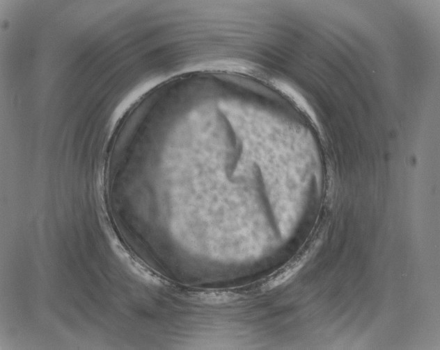 X0000080720952200701051031