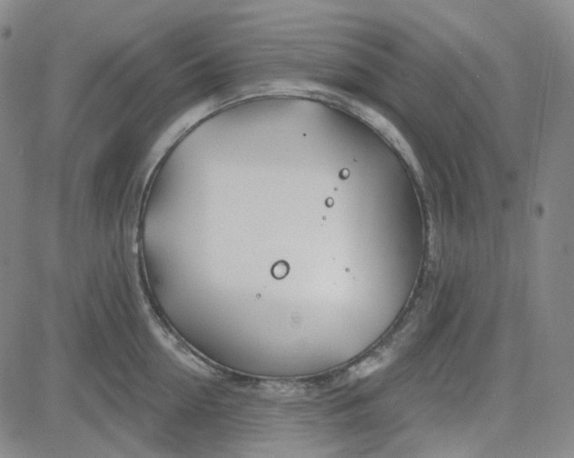 X0000080720954200701051031