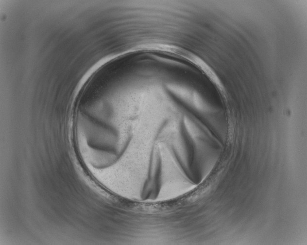 X0000080720955200701051031