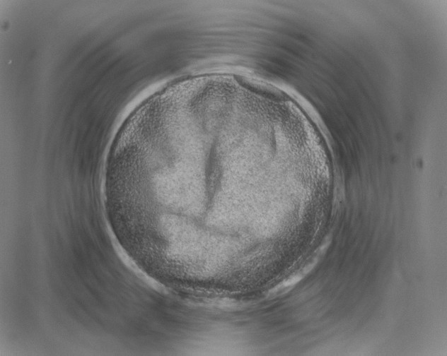 X0000080720957200701051031