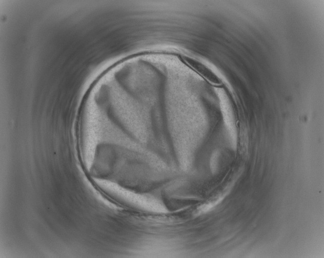 X0000080720959200701051031