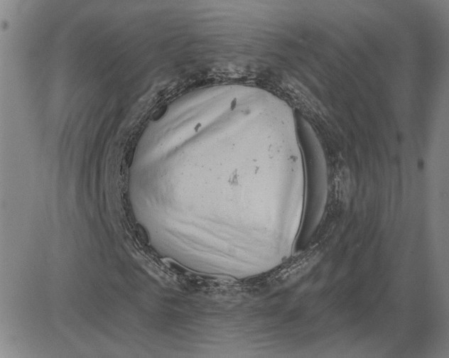 X0000080720961200701051030