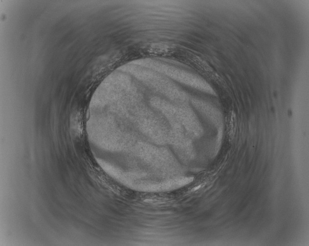 X0000080720962200701051030