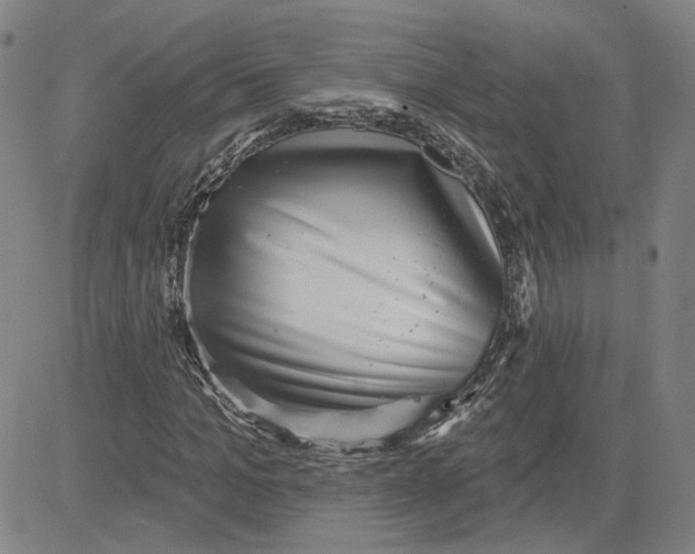 X0000080720965200701051030