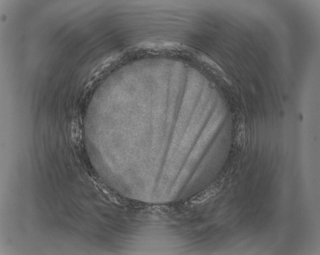 X0000080720966200701051030