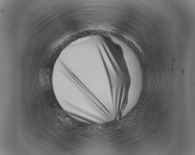 X0000080720968200701051030