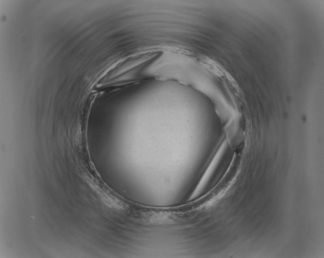 X0000080720969200701051030