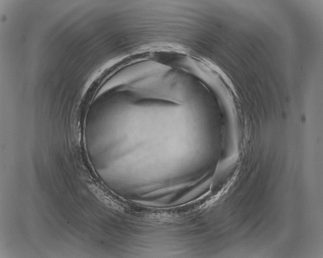 X0000080720973200701051030