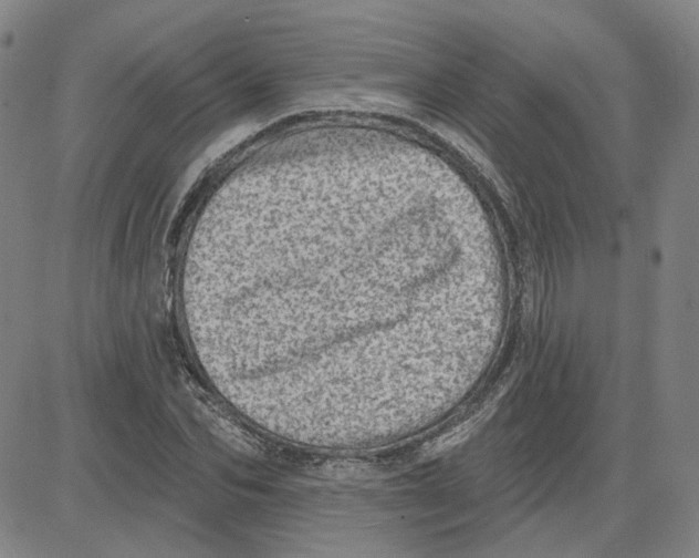 X0000080720974200701051030