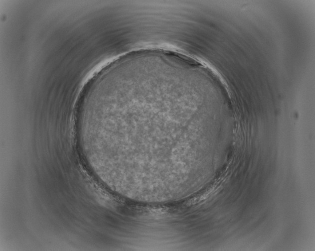 X0000080720975200701051030