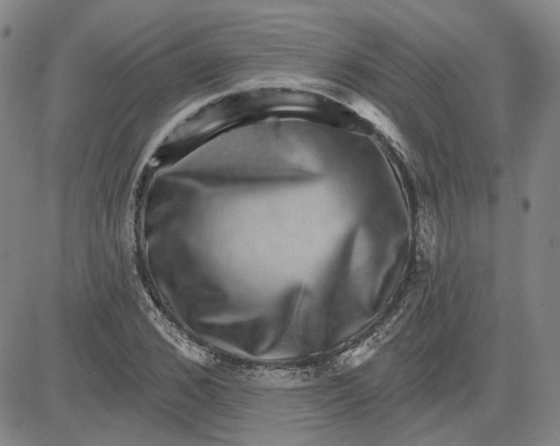 X0000080720976200701051030