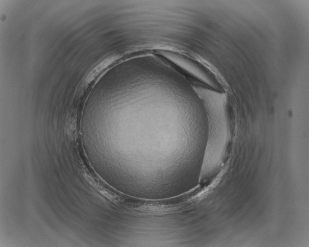 X0000080720977200701051030