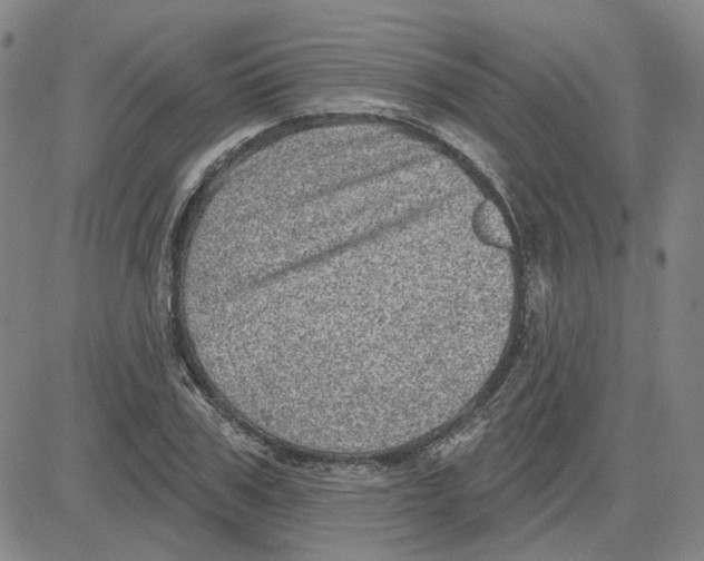 X0000080720979200701051030