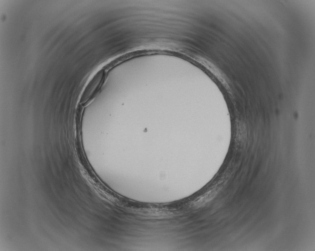 X0000080720980200701051030