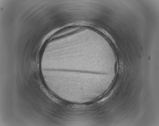 X0000080720981200701051030