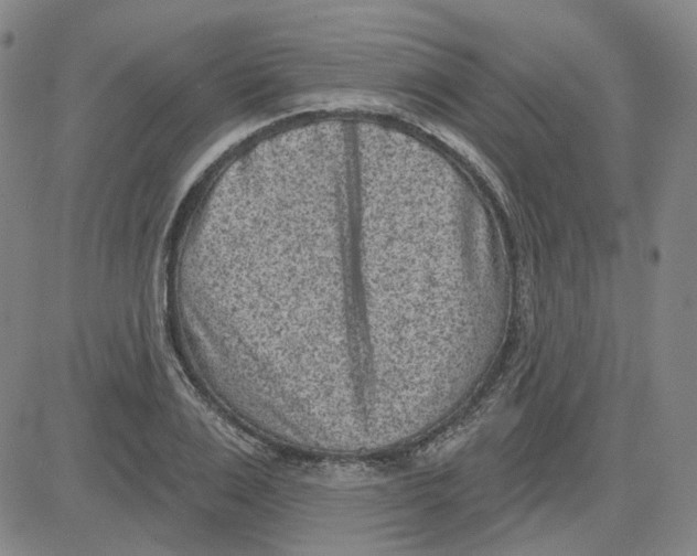 X0000080720983200701051030