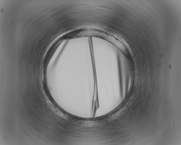 X0000080720984200701051030