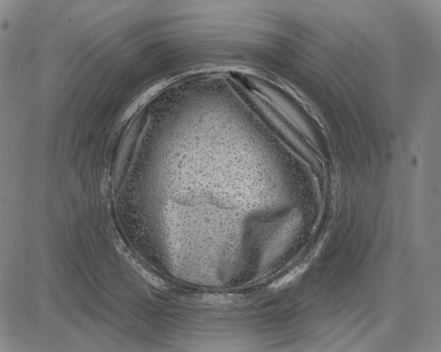 X0000080720985200701051030