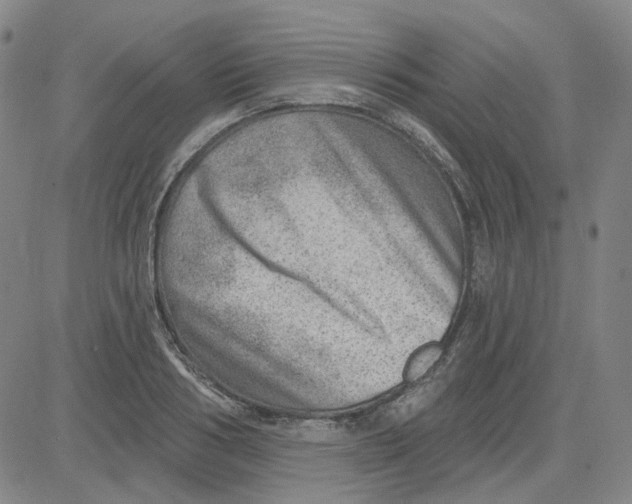 X0000080720986200701051030