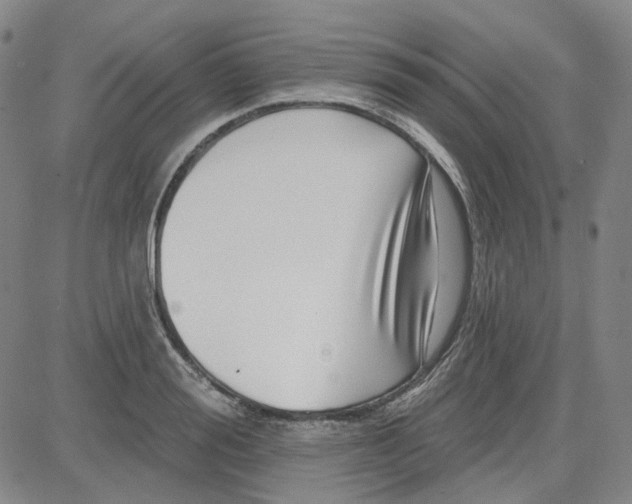 X0000080720988200701051030