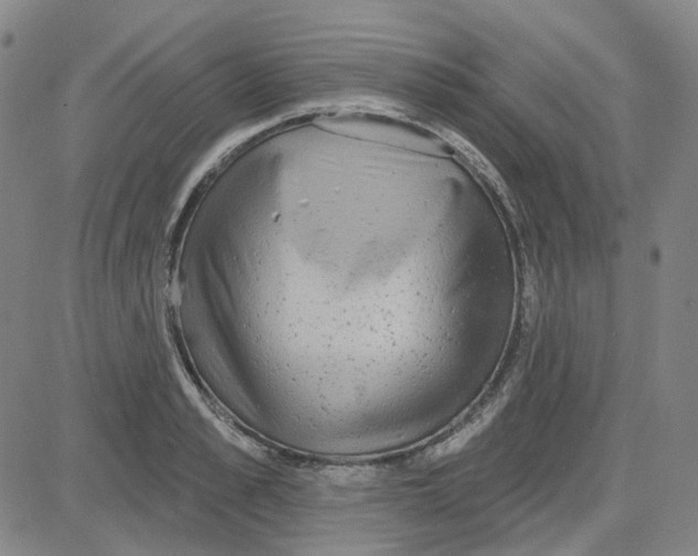 X0000080720989200701051030