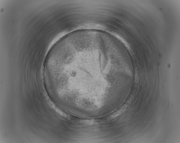 X0000080720990200701051030